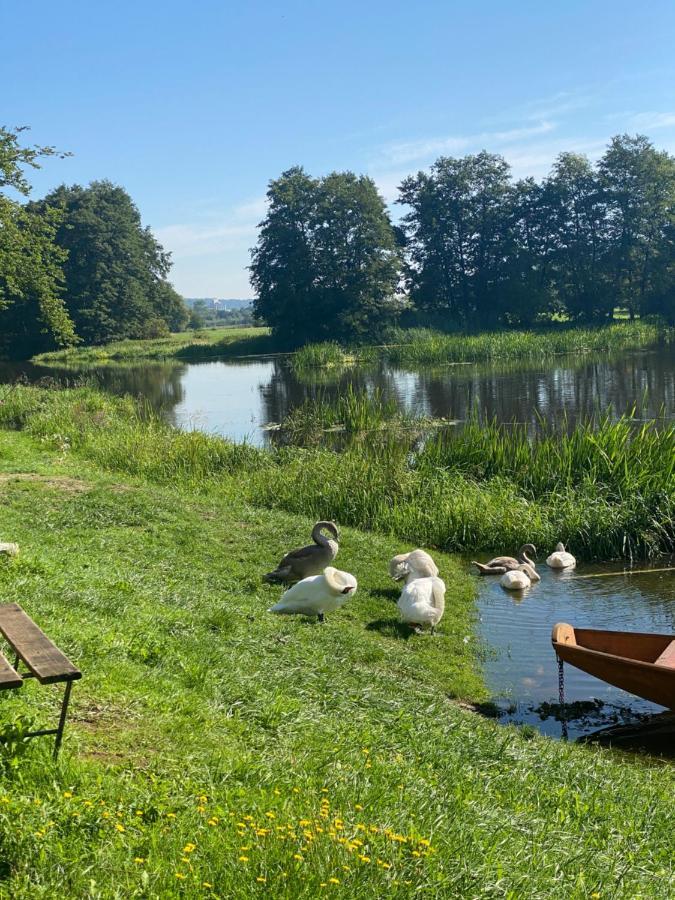 Idyllische Ferienwohnungen In Mossendorf Blick Zur Naab Burglengenfeld Luaran gambar